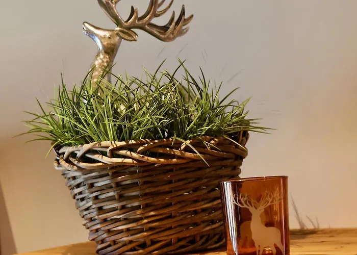 Rufana Appartement *